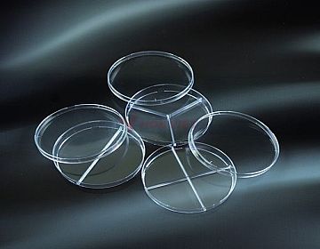 Đĩa petri nhựa Aptaca 90mm 2 ngăn có 3 gờ thông khí