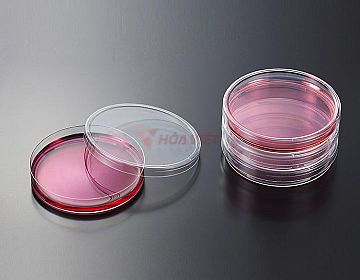 Đĩa petri nhựa Jet biofil 90mm tiệt trùng