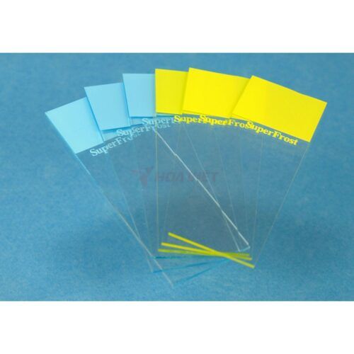 Lam kính thủy tinh Assistant 76x26mm có CE trắng Lam kính thủy tinh Assistant 76x26mm có CE trắng